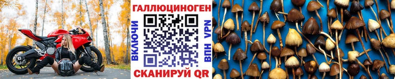 Псилоцибиновые грибы мухоморы  MEGA как зайти  даркнет как зайти  Саратов 
